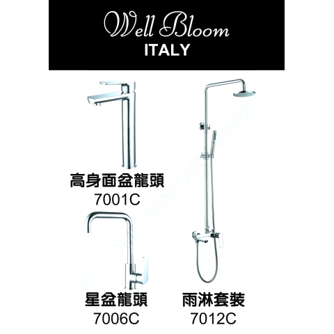 Well Bloom Italy 700CR2 700 系列亮銀色龍頭連雨淋套裝